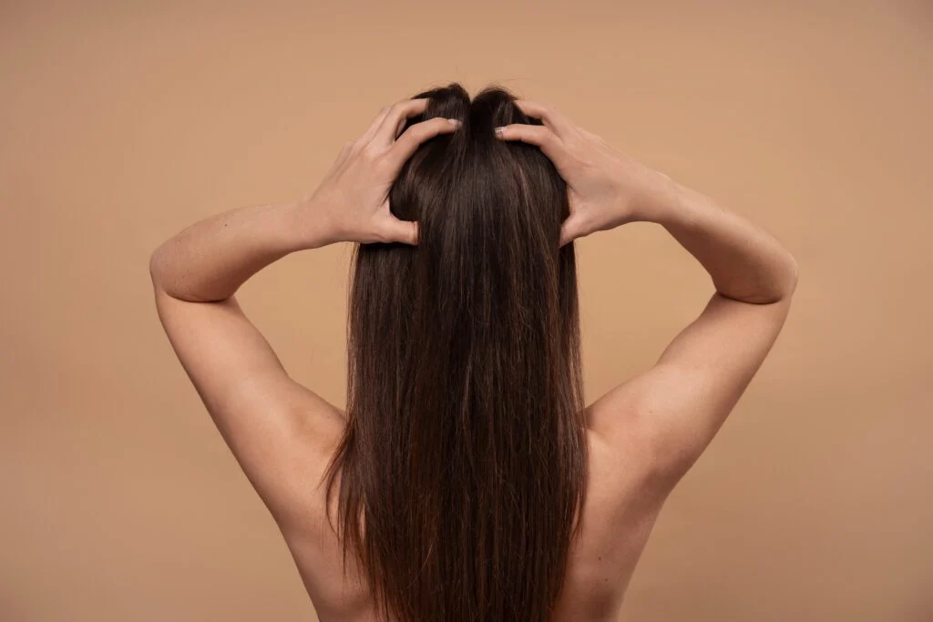 tempImager26c55 1024×683